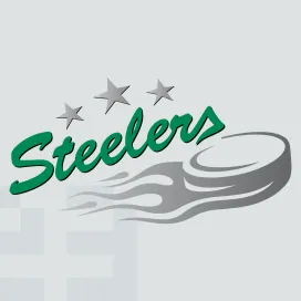 Bietigheim steelers